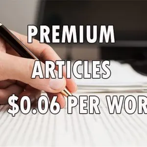 premium article writing service