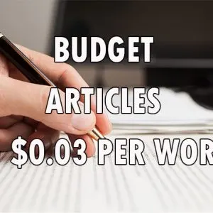 budget article writing services