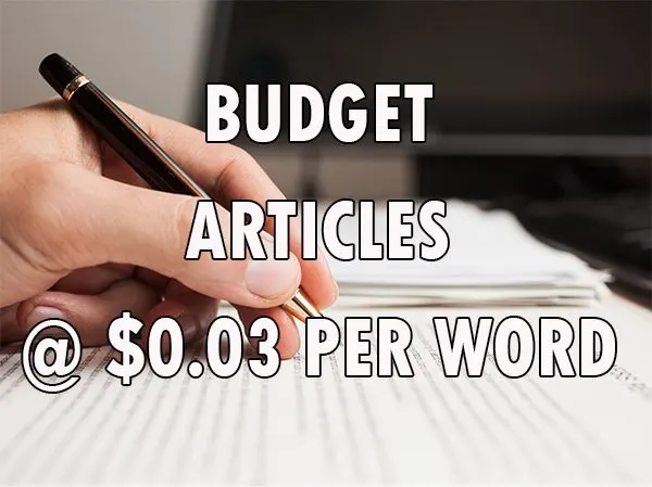 budget article writing services